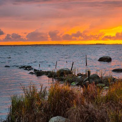 Stuga Trummenäs Udde 12000,-/v - Bild 15