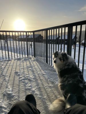 Ny lägenhet med bästa läget i Sadeln! - Bild 9