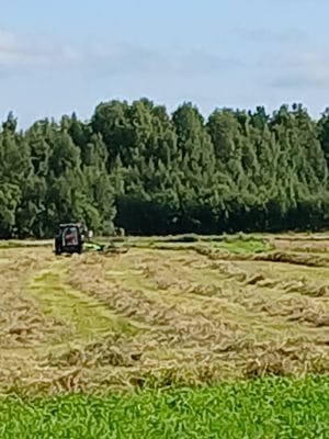 Mysig stuga i allmogestil, Sandnäset nära Luleälv. - Bild 27