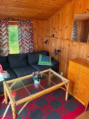 Havsutsikt,Kvällssol &200m till bad,Öland - Bild 29
