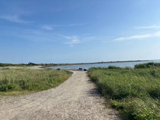 Bo i Läjet strandnära - Bild 4