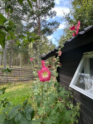 En av gäststugorna (2 bäddar)