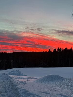 Lantligt hus nära Skellefteå – natur, lugn - Bild 12