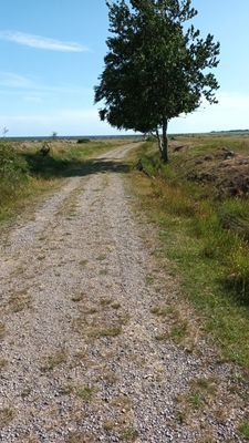 Charmigt Blekingehus nära havet i Torhamn - Bild 12