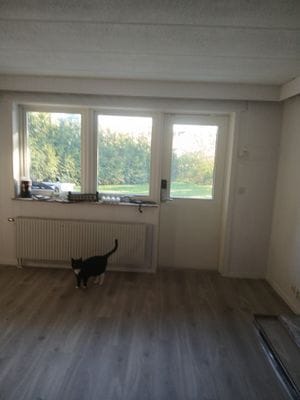 Uthyres i centrala Mölndal under juli och del av a - Bild 7