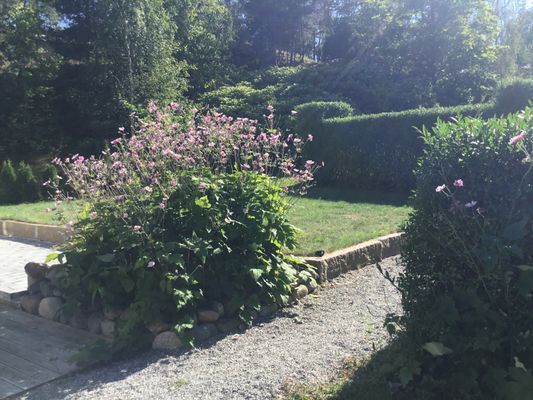 Sjötomt i Stockholms Skärgård, Gustavsberg, Värmdö - Bild 39