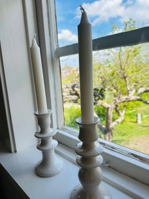 Fönster ut mot trädgården