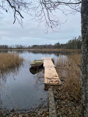 Mysig stuga i skogen nära sjö & bastu - Bild 12