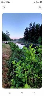 En stuga avskilt vid vattnet Småland med egen båt - Bild 19