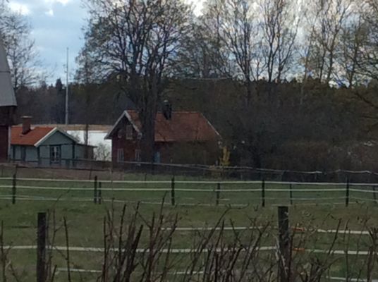 Charmigt boende på Blidö i Stockhoms Skärgård - Bild 7