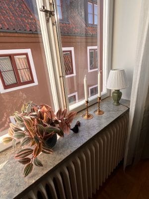 Nyrenoverad lägenhet innanför murarna - Bild 8