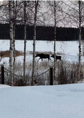 Villa vid havet - Bild 6