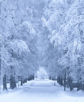 Herrgårdsflygel i blomsterpark (ca 14 pers) - Bild 74