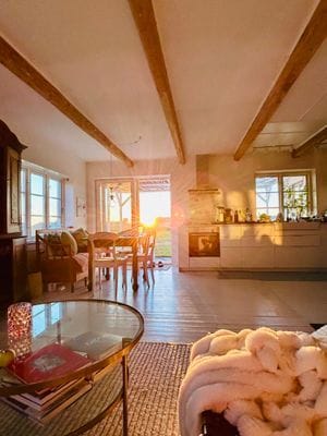 Österlendröm ostört läge familj/sällskap - Bild 3