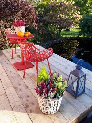 Naturskön och lantlig idyll mellan sjöar. - Bild 53