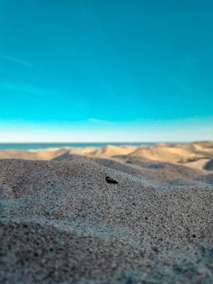 Fritidshus Öland - Färjestaden - Bild 17