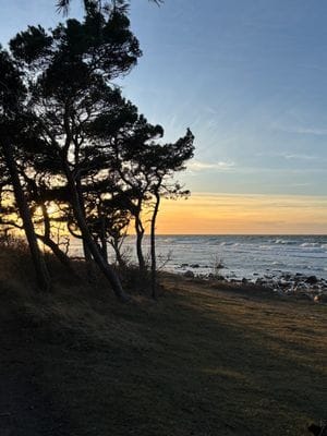 Nybyggt fritidshus med närhet till strand och nöje - Bild 15