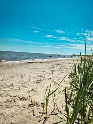 Fritidshus Öland - Färjestaden - Bild 14
