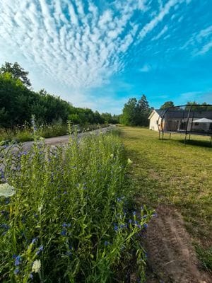 Fritidshus Öland - Färjestaden - Bild 16