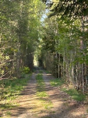 Mysigt fritidshus nära sjöarna Kösen och Bolmen - Bild 33