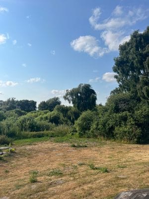 Sommaridyll vid Sandhammaren - Bild 16