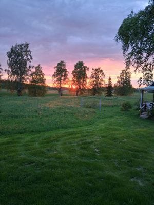 Mysig stuga i allmogestil, Sandnäset nära Luleälv. - Bild 15