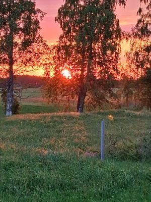 Mysig stuga i allmogestil, Sandnäset nära Luleälv. - Bild 17