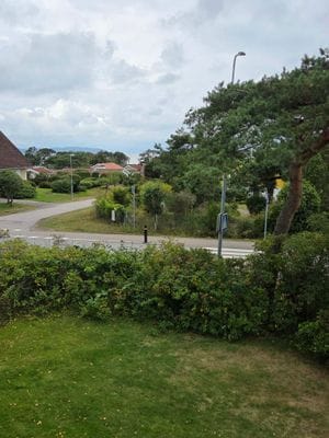 Underbara Skummeslövsstrand - Bild 13