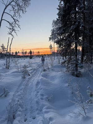 Lantligt hus nära Skellefteå – natur, lugn - Bild 13