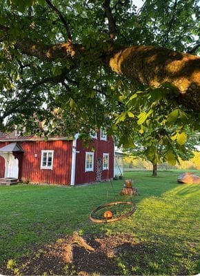 Mysig stuga på gård med bastu & eldplats - Bild 8