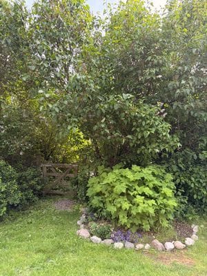 Bogsta By – Historisk Sörmlandsgård med sjöutsikt - Bild 66