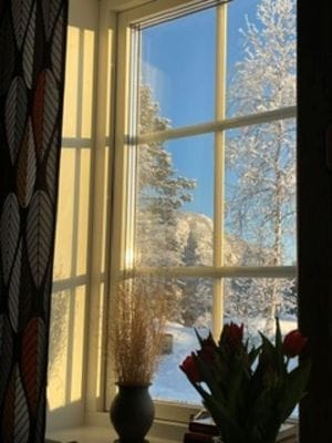 Mysig fjällstuga med härlig utsikt - Bild 8
