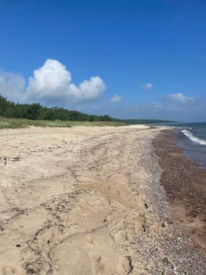 Stuga Öland Havsutsikt - Bild 23