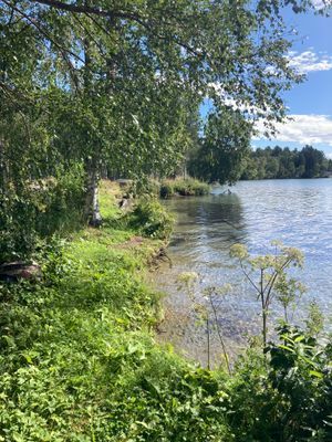 Badplats vid Locknesjön