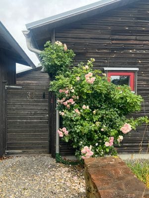 Havsnära arkitektritad villa