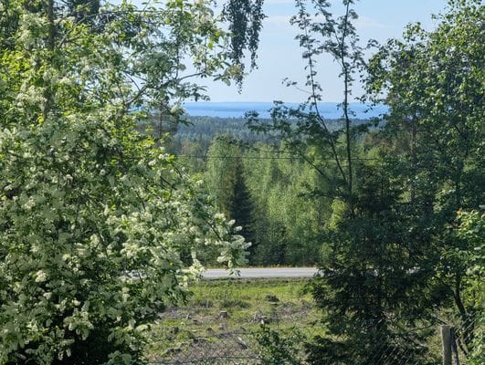 Timrad stuga nära fjällen - Bild 4