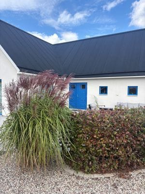 Österlenidyll i Skillinge - 350 meter från havet - Bild 2