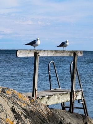 Charmig skärgårdsstuga vid Hönö Klåva Hamn - Bild 18