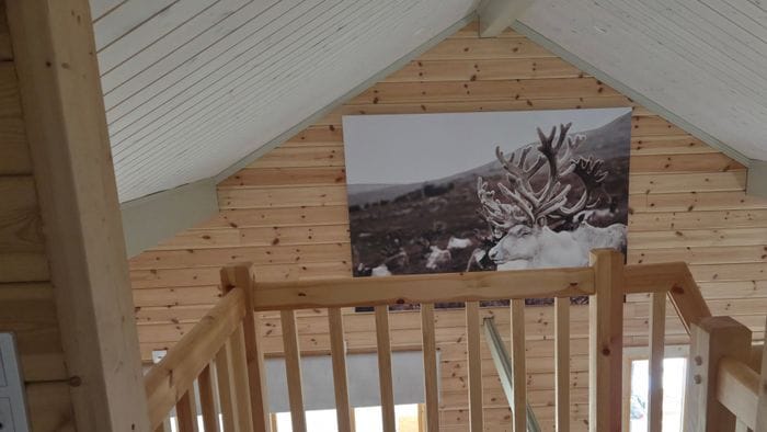 Nybyggd timrat stuga i Juktådalen - Bild 7