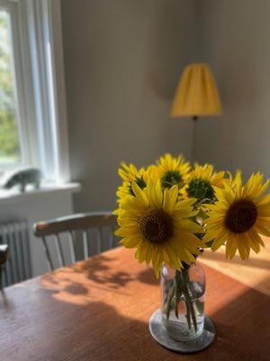 Rymligt hus på gård, intill restaurang - Bild 5
