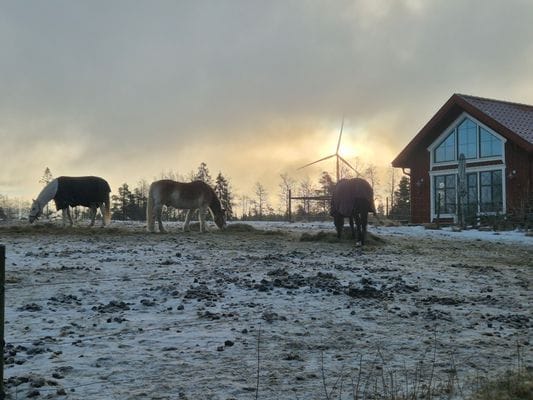 Kålgårdsstugan - Bild 24