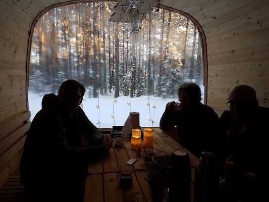 Stuga med tillgång till bastustuga & växthus - Bild 16