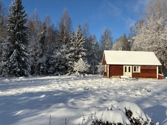 Timrad stuga nära sjö och bad