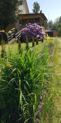 Välkommen till ditt småländska smultronställe ! - Bild 19