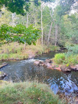 Välkommen till ditt småländska smultronställe ! - Bild 22