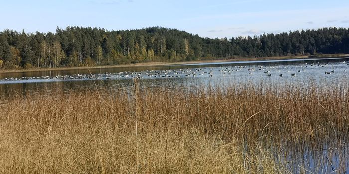 Välkommen till ditt småländska smultronställe ! - Bild 17