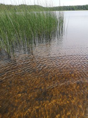 Välkommen till ditt småländska smultronställe ! - Bild 23