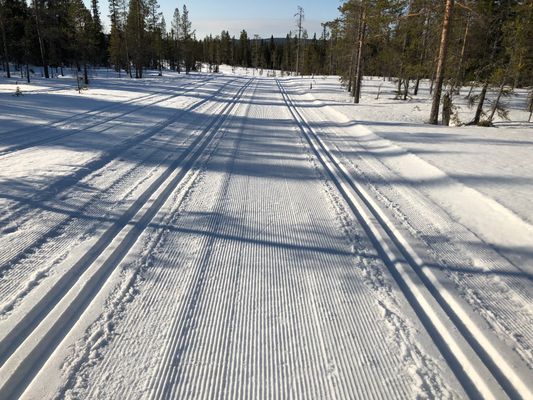 Spåren börjar ca 100 meter från stugan