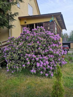 Välkommen till ditt småländska smultronställe !