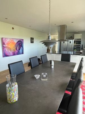Lantligt modernt hus på Kullahalvön - Bild 9